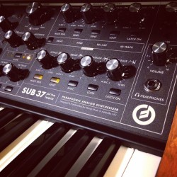 joshchrist0pher:  Spending a little time with the #moog #sub37 this evening. :D . . #analog #acidhouse #bass #club #deephouse #drumnbass #dancemusic #edm #electro #electrohouse #house #housemusic #midi #music #oldschool #Pittsburgh #progressive #rave