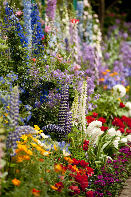 coiour-my-world:Monet’s Garden by NYBG on Flickr.The New York Botanical Garden