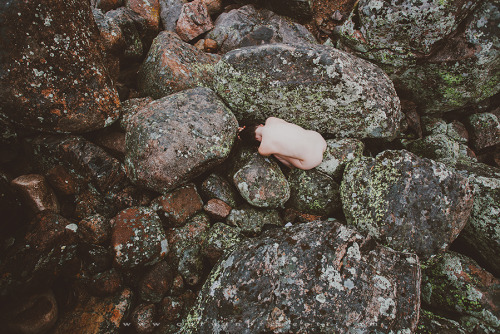 XXX corwinprescott:  “Into The Wild”Colorado photo