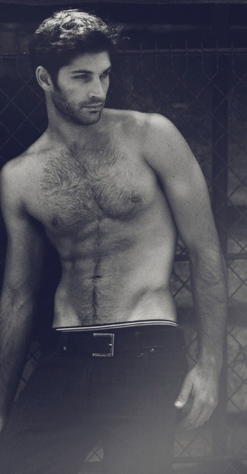 Perfect Hairy Man