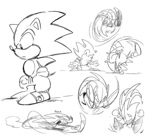 tulerarts:  Sonic Mania is probably one of the greatest things to have happened. I absolutely adore the game and all the love and passion that went into it… I felt like sharing these little fellas I drew! (Dumpy shadow!!) ★彡 Check out my Patreon!
