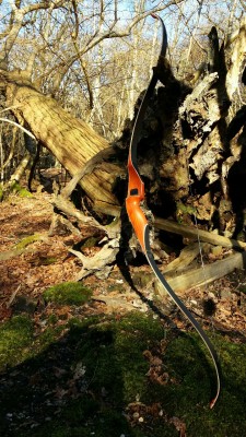 2wheeledyeti:  Out in the woods with my bow