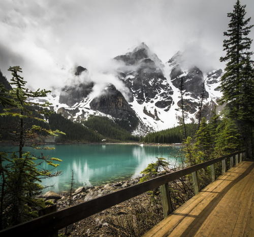 atraversso:  Misty Morning  by Brian Stirling  