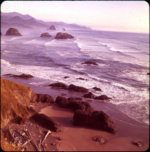 twoseparatecoursesmeet:Cannon Beach, 1963Doris Thomas