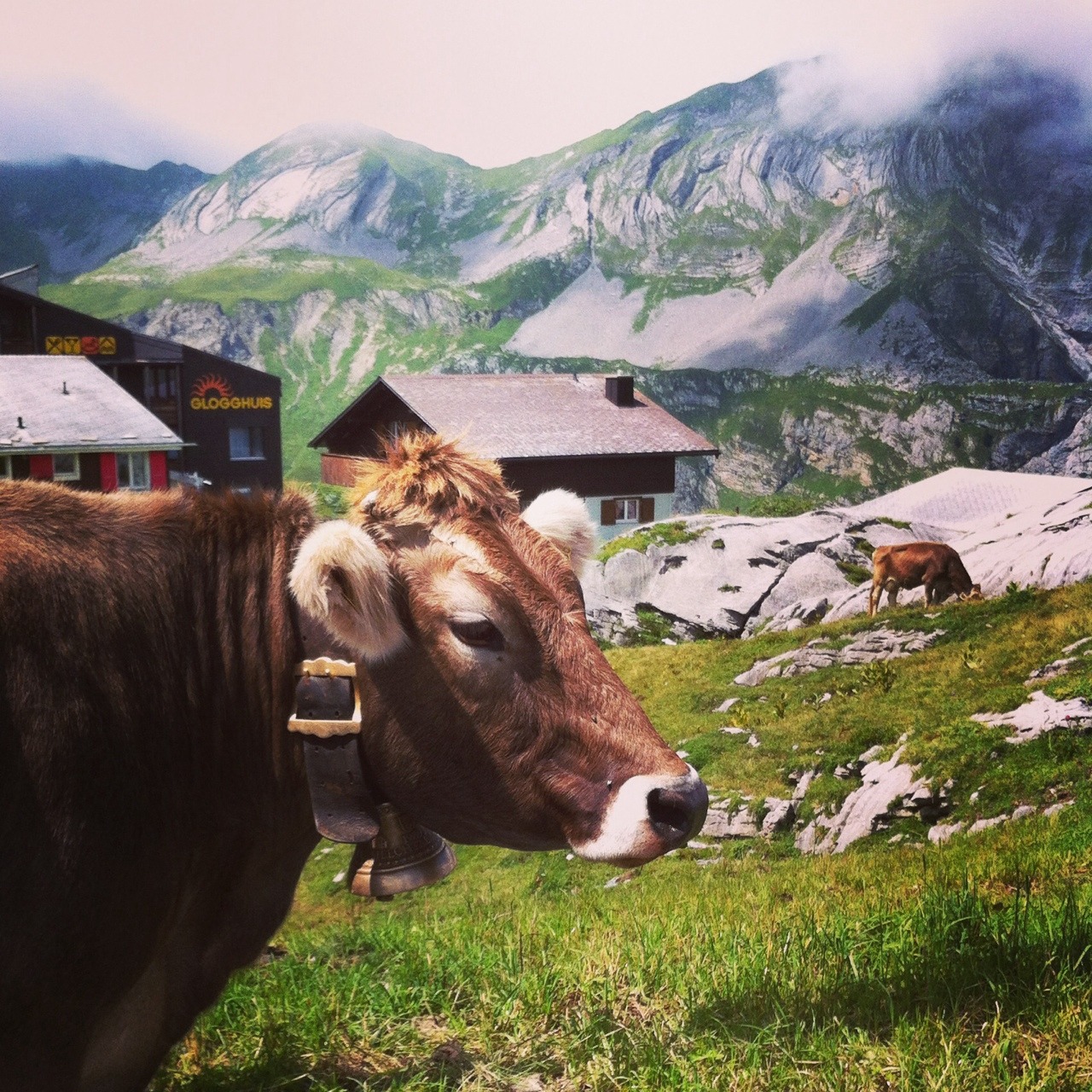 heritagelady:  Melchsee Frutt, Switzerland 