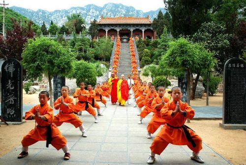 taichi-kungfu-show:  Young kid practicing Shaolin kung fu.    We offer you first-rate tai chi swords on: http://www.icnbuys.com/tai-chi-swords    