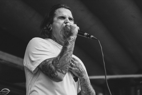 Joel Birch of The Amity Affliction // Warped Tour 2015, St.Louis, MO by Cassie Deadmond on Facebook.