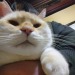 straycatj:straycatj:皆さんかぜひいたりしてないですかHaven&rsquo;t