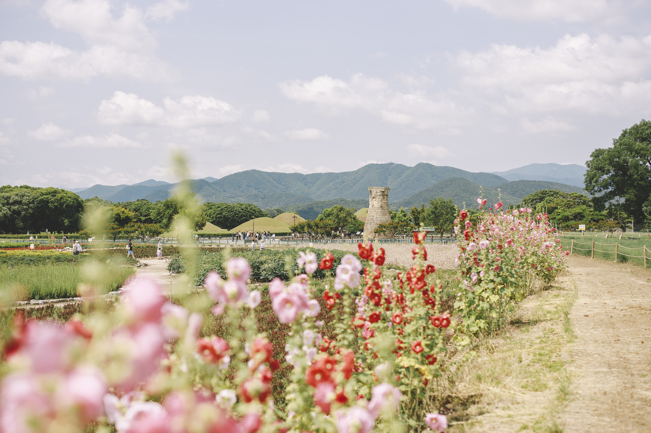 boohwanj:2019-06-15