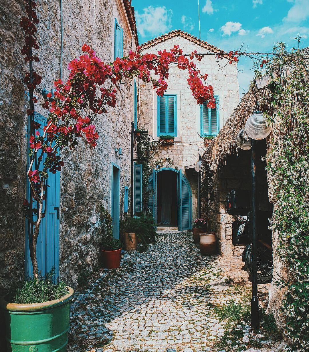 floralls:  Turkey by   ahmet.erdem  