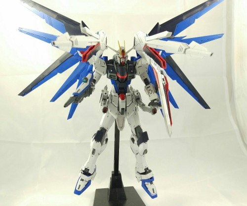 [MG Freedom 2.0]