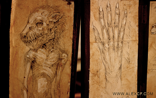 meganiane:  Infant Lycanthrope    This lycanthrope cannot be identified as a new born lycan or an infected human who gave birth to this infant. Regardless it was born Lycan, yet suffered some degree of malformation of the lungs. The specimen is presented