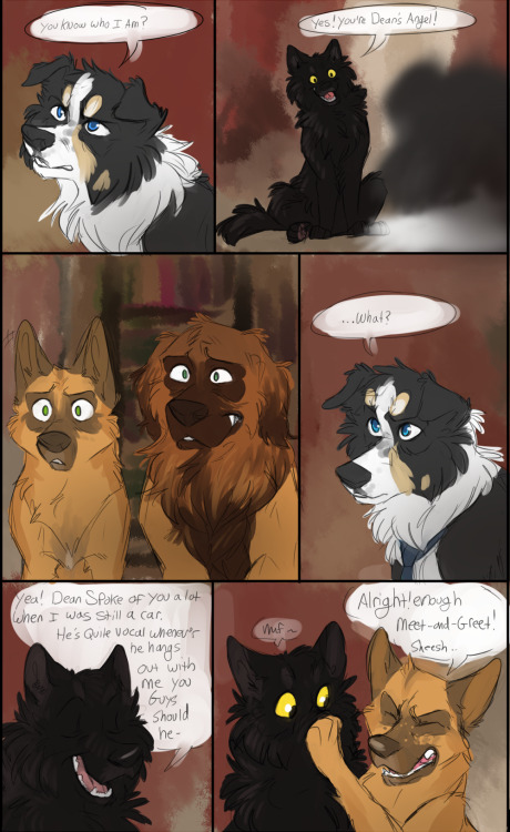 Wth is even composition. how do you comic. Wolfpala meeting Cas for the first time~ 