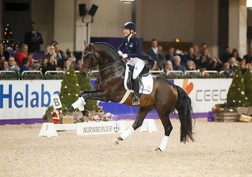 ilovelaica: Ingrid Klimke & Franziskus. Festhallenturnier ‘16 © by www.toffiimages.de