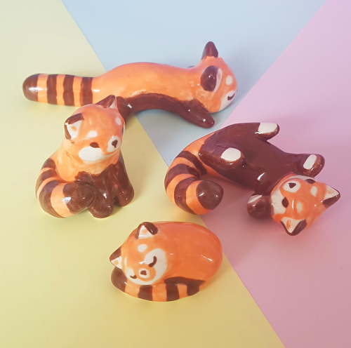 paper-swirls: A pack of red pandas! 