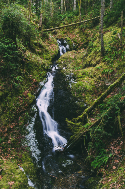 Tin Mine Falls