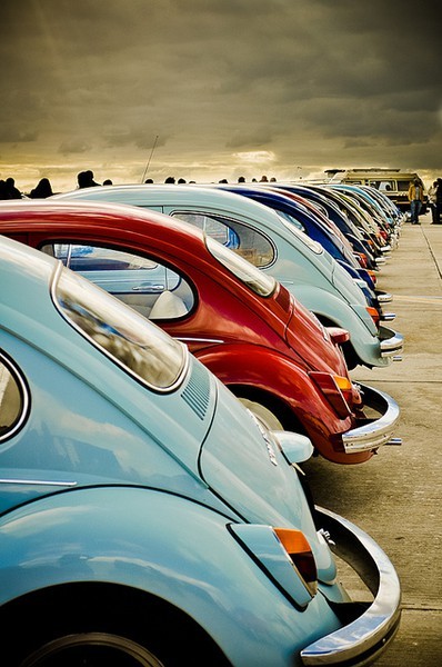 Slug bug Slug bugSlug bugSlug bug…