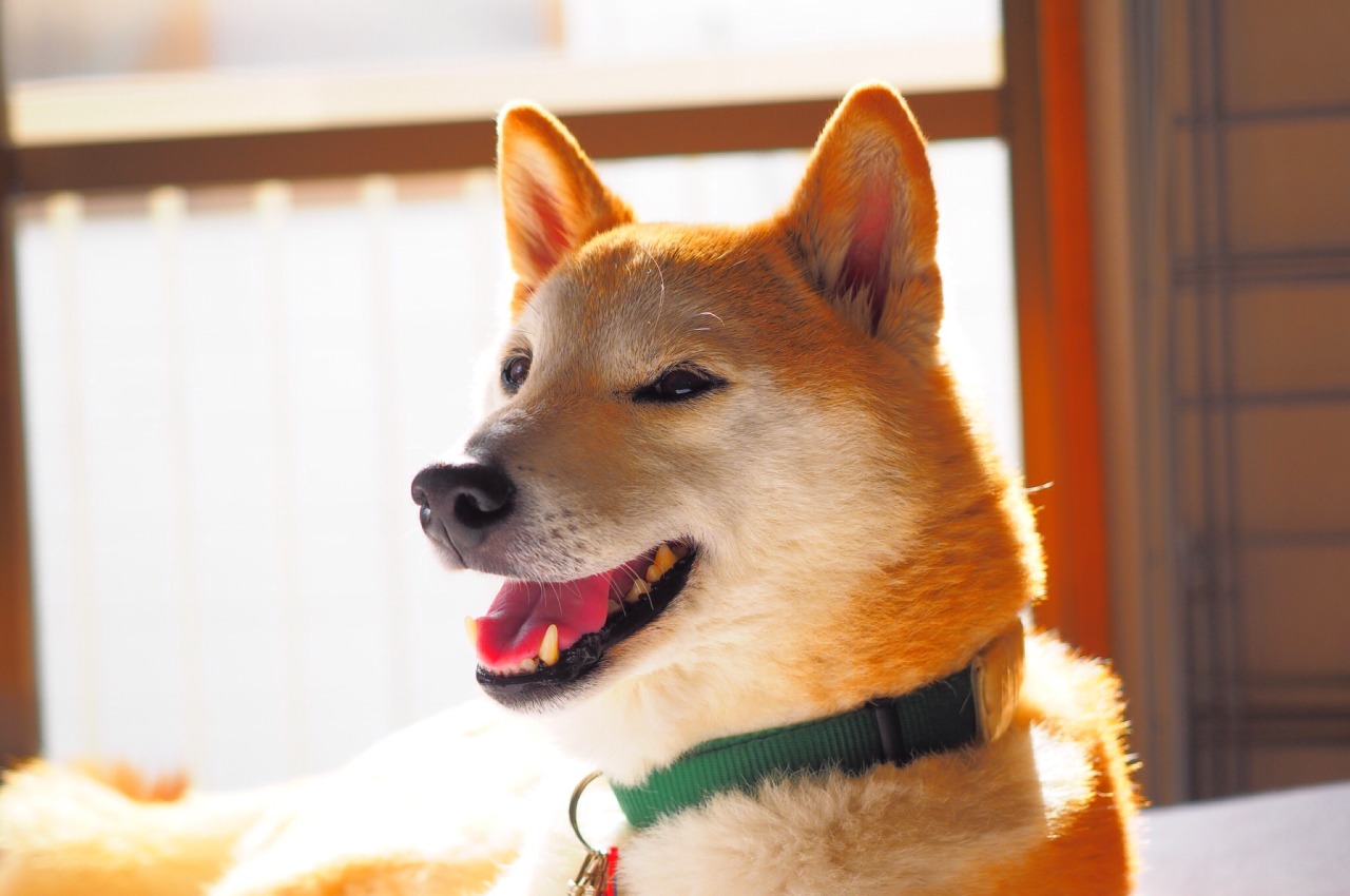 michibita:  Have a colorful day, everyone☆彡 
