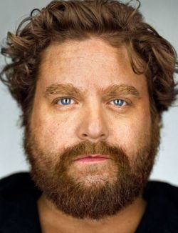 Maszületett 2.0:  Zach Galifianakis