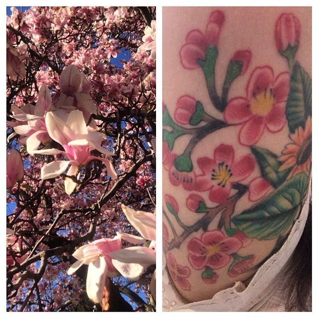 I mean I may like cherry blossom trees 🌸