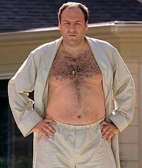 adam-and-celebrity-chubs:  Adam-and-Celebrity-Chubs #21  James Gandolfini  (Actor)