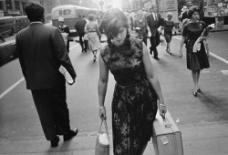 secretcinema1:  Girl by Garry Winogrand, 1960. 