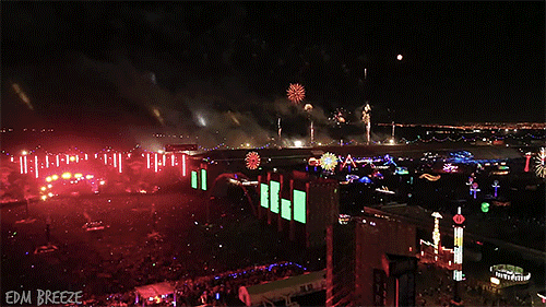 plur-panda:  anjellybeats:  ok can i go home now please?  WE.