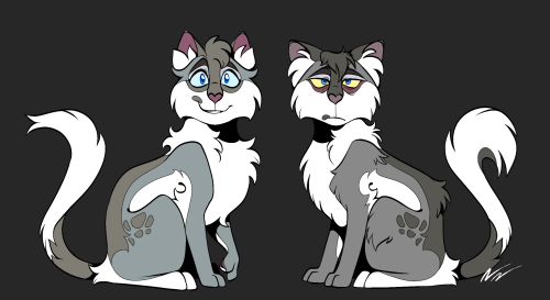 shebpaw:I realize I never made an Ashfur design so here he is pre and post-inceldom.Basically, he st