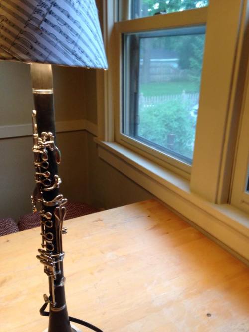 reedswithfashion:To answer all questions:1. Yes, I made this.2. Yes, the clarinet was broken already