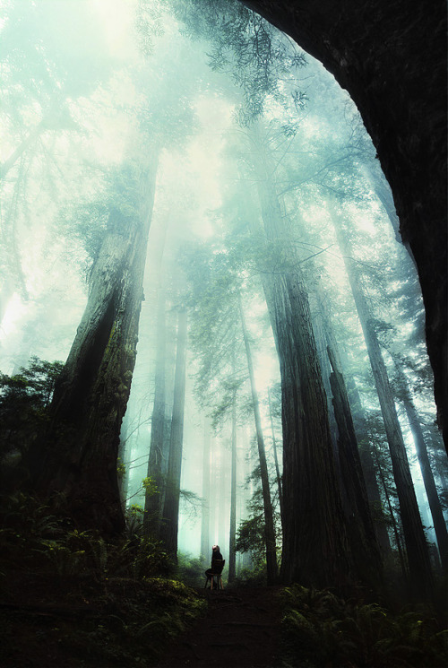 lohrien:  Photography by Peter Jamus