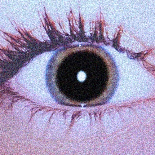 FILOFOBICA