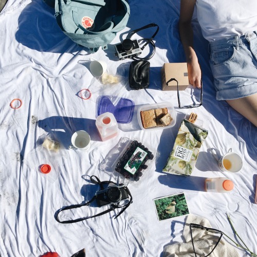 girlfig:  picnic supplies ☑️ ig: isabellaspud 
