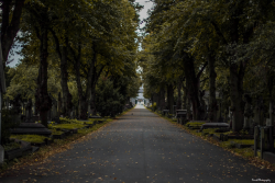 garettphotography:Autumn in Brompton Cemetery | GarettPhotography