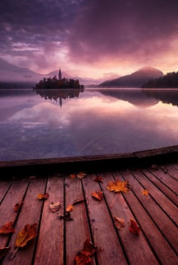 renamonkalou:    Lake Bled Walk |   Alex