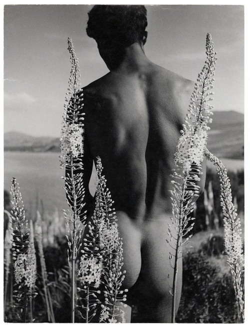 creativespark: Herbert List (1903-1975), Young Man with Eremurus (Desert Candles), Hammanet, Tunisia