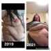 XXX bigbellybridget:Iv gained so much, this is photo