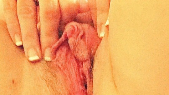 lookinforfunsblog:  Random pictures of my cow cunt. 