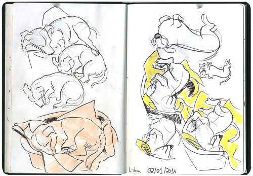 various sketchbook doodles and life drawing