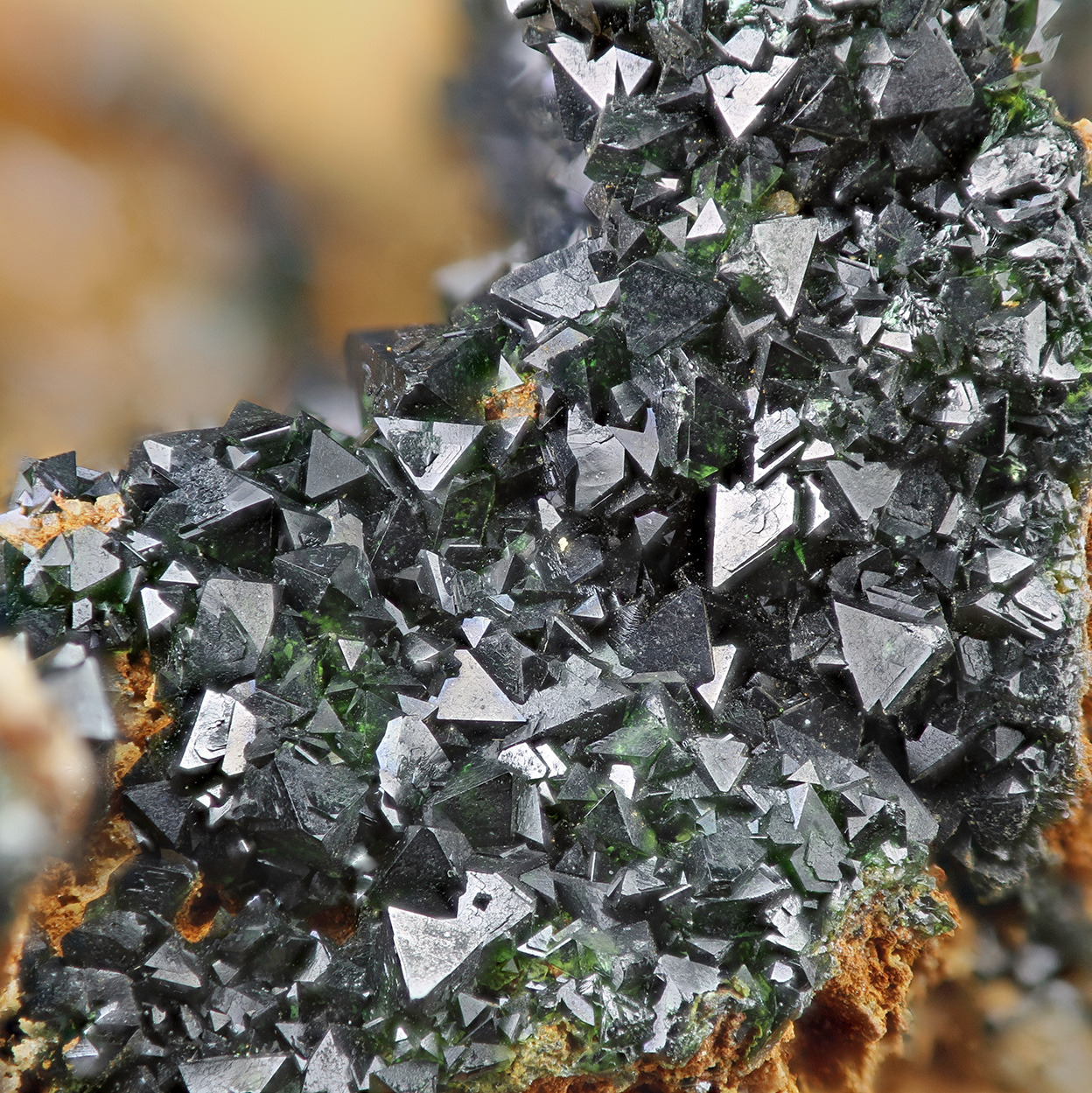 vugnasmineralblog:   Libethenite  L’ubietová (Formerly Libethen), Banská Bystrica,