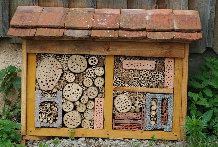 biodiverseed:  biodiverseed:  Insect Hotels Over 30% of solitary bee species are