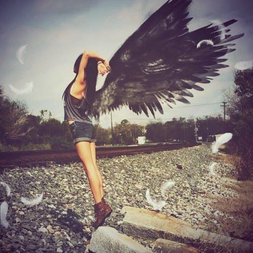 fotosfornovelas:  -Chicas con alas