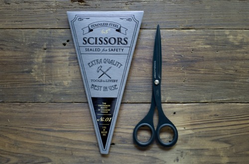 Stainless Steel Scissors by Tools to Liveby