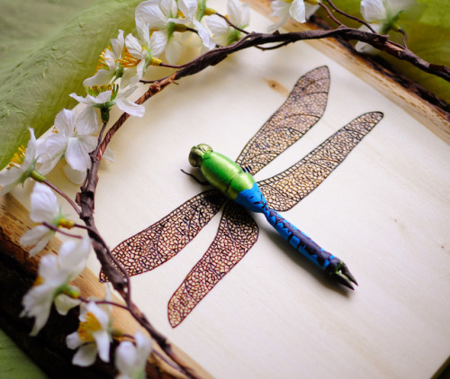 floristfawn: Anax junius, aka Darner Dragonfly &lt;3 Wood burn, polymer clay, acrylic paint