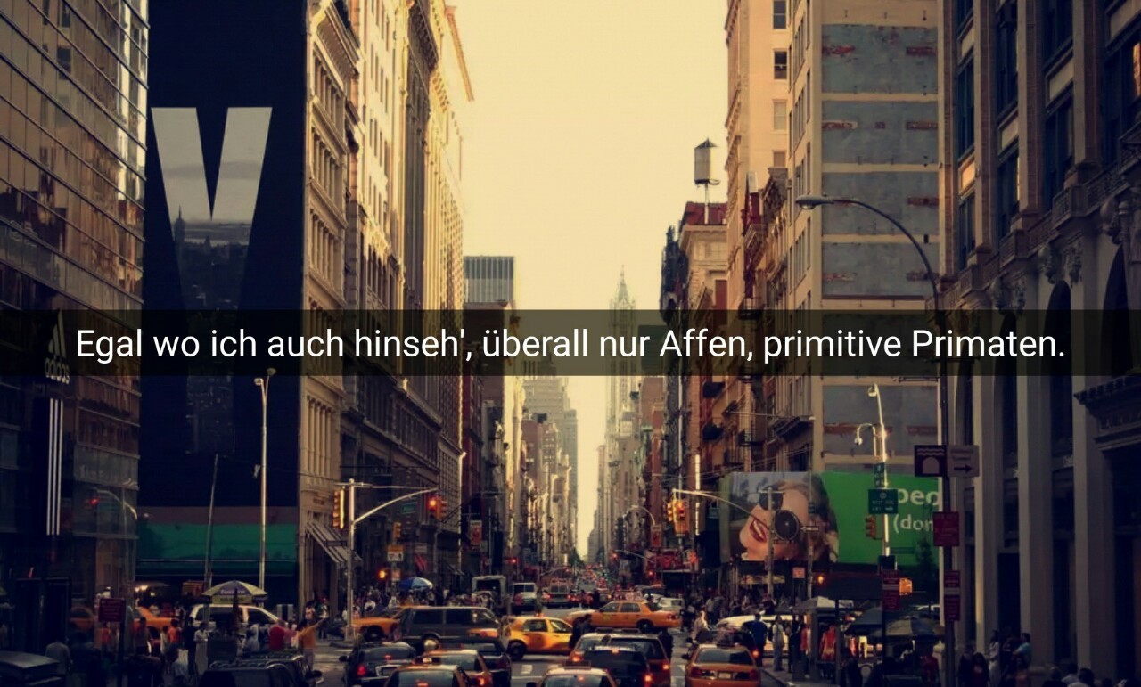 der-boy:  Egal wo ich auch hinseh’, überall nur Affen. 