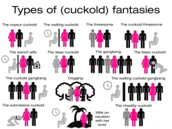 Shakespeareanman:  There Are Many Types Of Cuckold Fantasies:the Voyeur Cuckold -