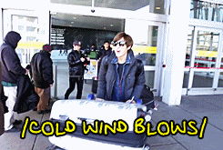 segawangcoffee-deactivated20150:  U-Kiss in New York: Expectation vs. Reality 