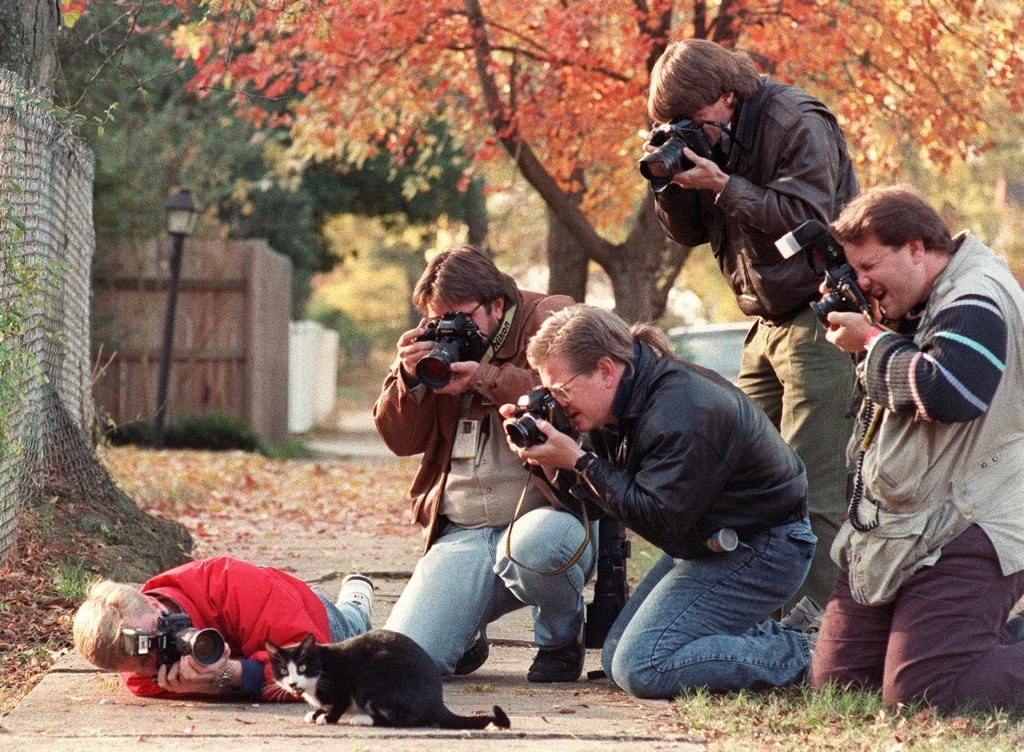 bundyspooks:A swarm of paparazzi surrounding Socks, Bill Clinton’s cat, in 1992.