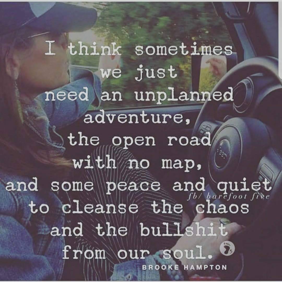 landshark53:  SO TRUE!!🥰🤣🔥🥰🤣