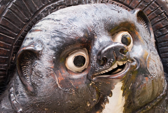 My face when someone tells me they dont like dragons