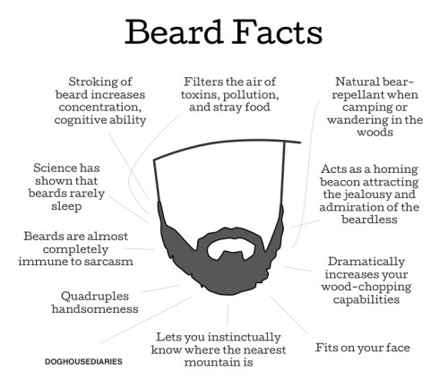 nevver:  Beard facts 